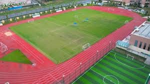 重组国乒 王励勤改革太大胆 马琳取代名帅上位 李隼让位有原因